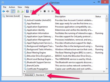 The Standard tab in the Services application.