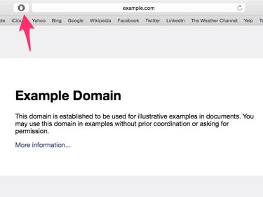 Click the AdBlock icon.