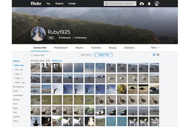 Flickr Magic View
