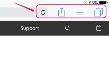 Safari Right-side Controls