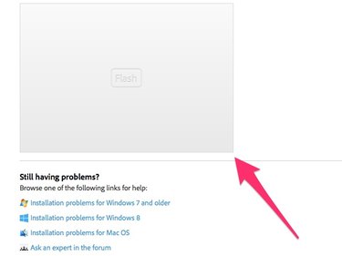 Click the "Flash" box to play Flash content.