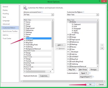 Adding the Developer Tab