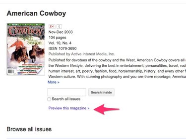 Click "Preview This Magazine."