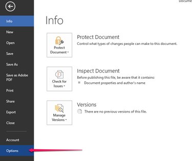 Customize Word with Options