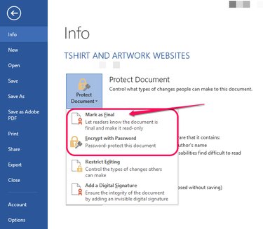 Final Version Protection