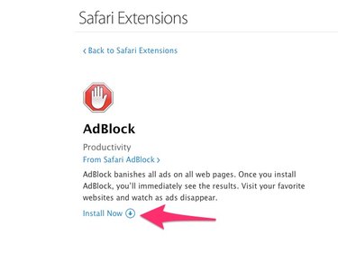 Click "Install Now" to install the extension.