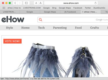 Safari with all its Bars open: Toolbar, Favorites Bar, Tabs Bar, and Status Bar